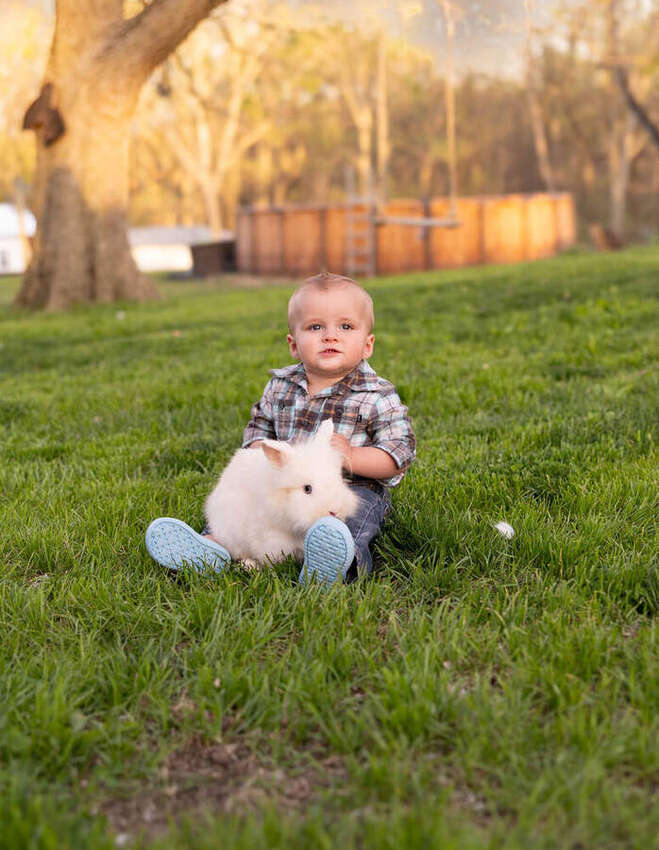 Toddler sitting with a fluffy white bunny