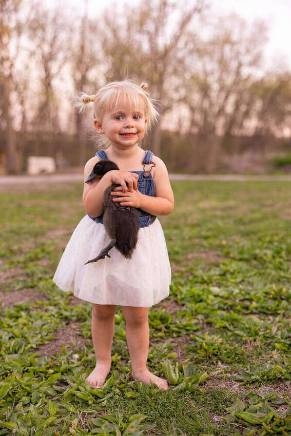 Toddler holding a baby duck in a tutu skirt