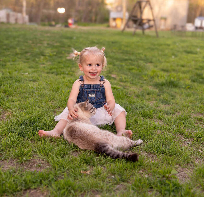 Toddler sitting with a cat in the grass