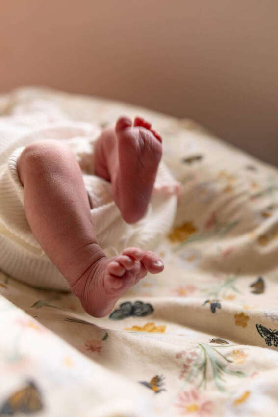 Close-up of newborn baby's feet on a floral blanket